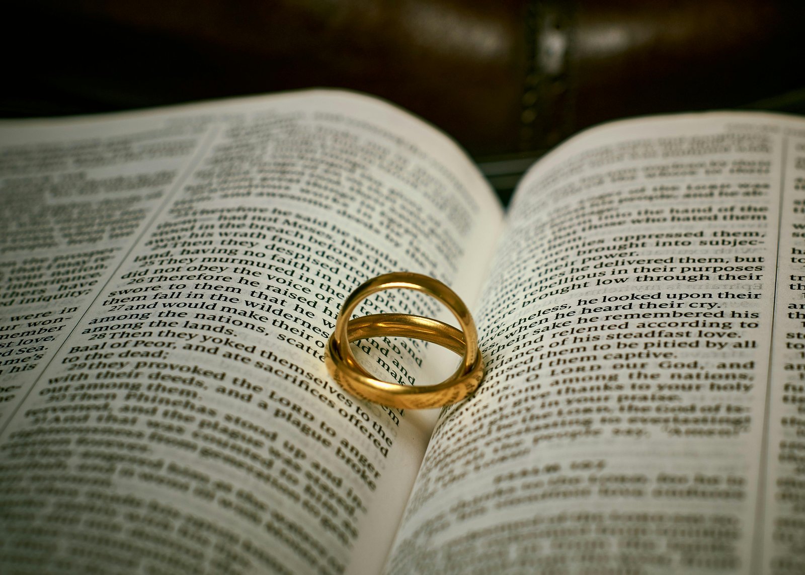 logo prewedding